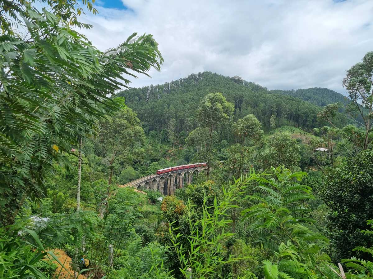 Tren pasando el puente Nine Arch Bridge