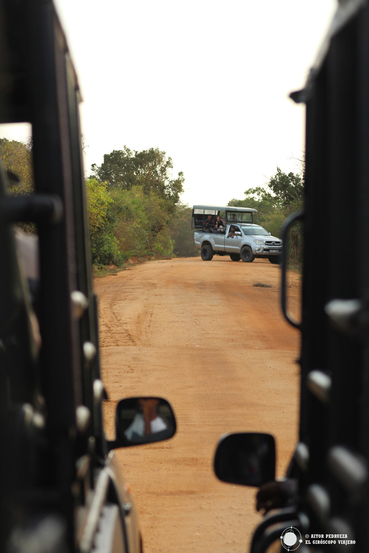 Jeeps avistando animales en Yala
