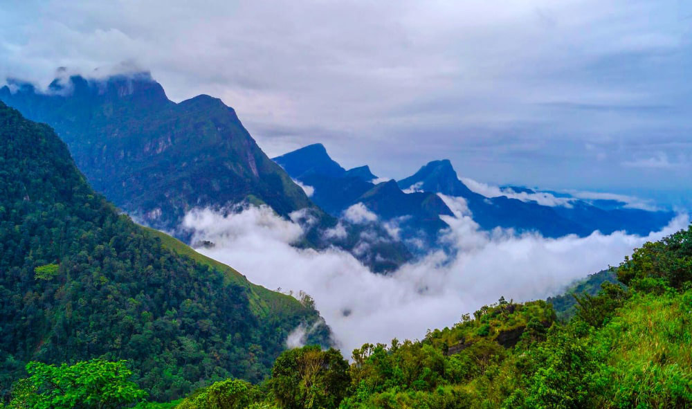 Vistas de la Cordillera Knuckles