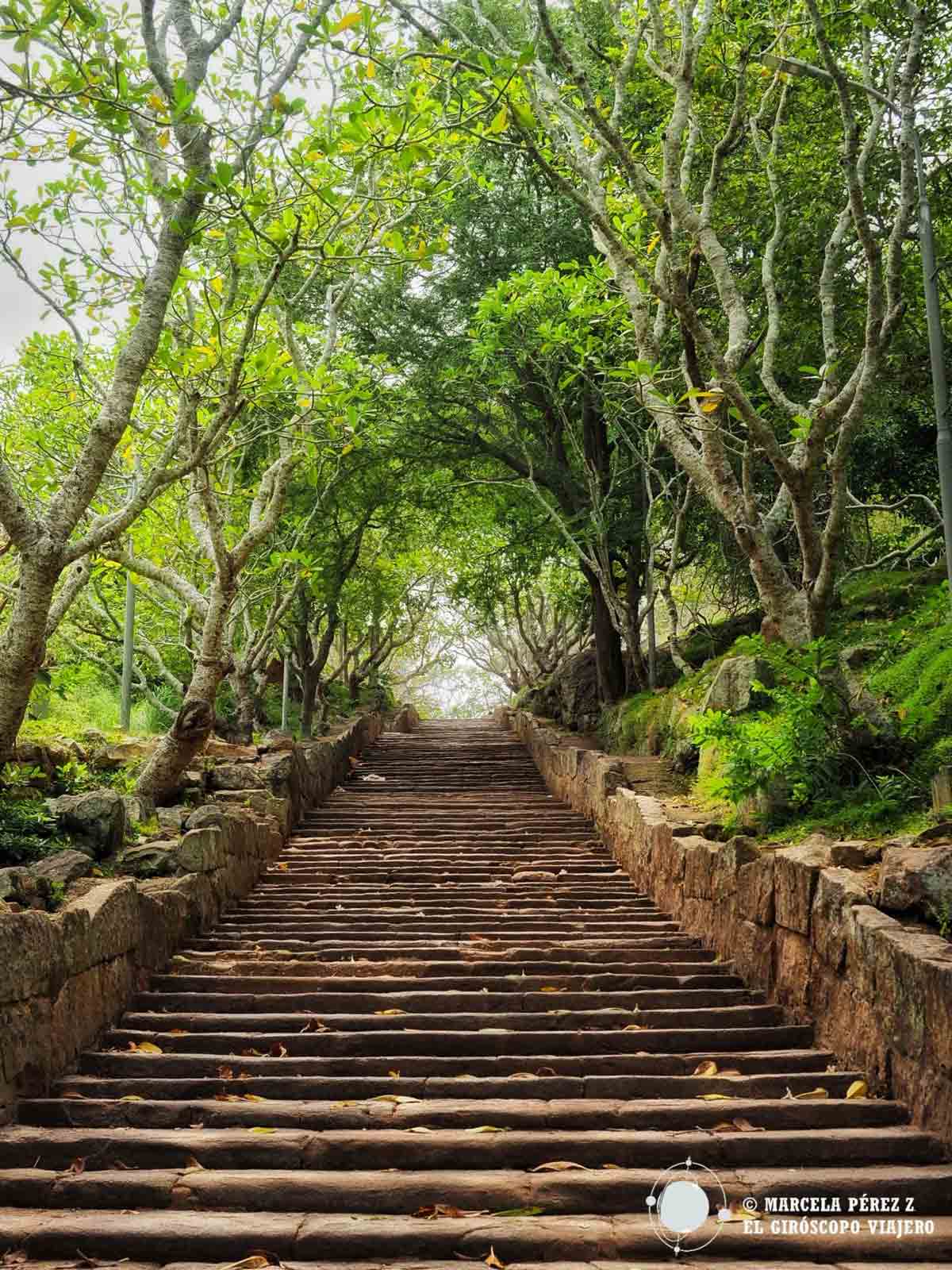 Escaleras que conducen a lo alto de la montaña sagrada de Mihintale