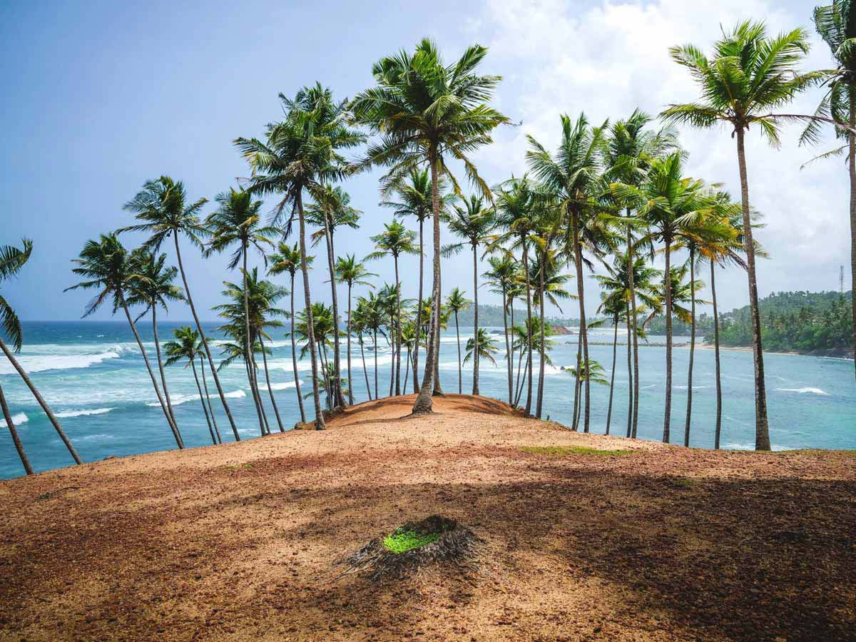 Coconut Tree Hill en Mirissa