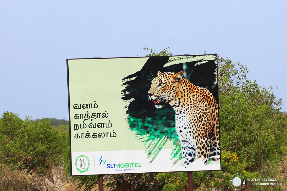 Aviso de la presencia de leopardos en el Parque Nacional de Yala