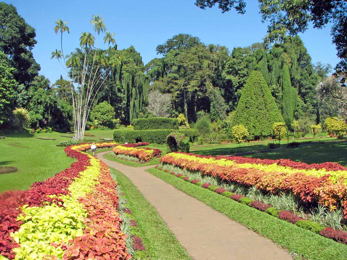 Jardín Botánico de Peradeniya en Kandy