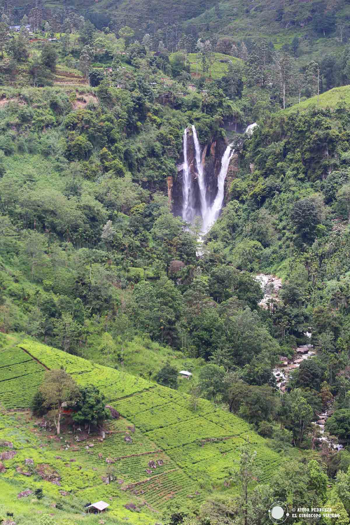 Puna Falls entre Kandy y Nuwara Eliya