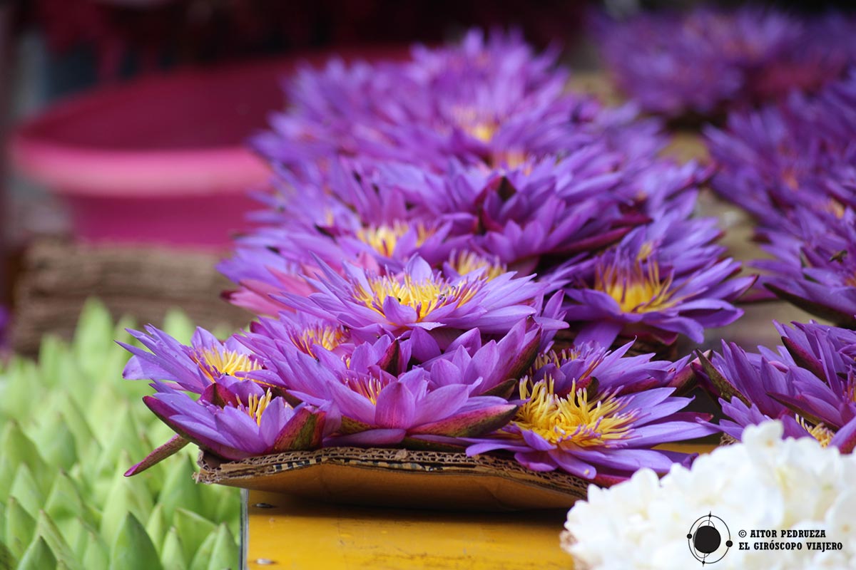 Ofrendas de flores en los templos de Kandy