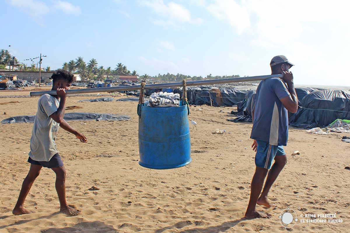 Pescadores trasladando la pesca