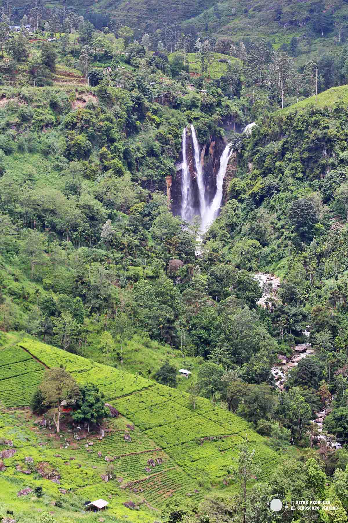 Hay numerosas cascadas que podemos visitar en los alrededores de Nuwara Eliya